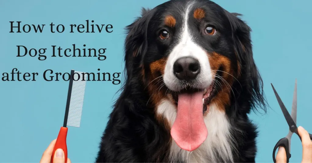 how to relive dog itching after grooming